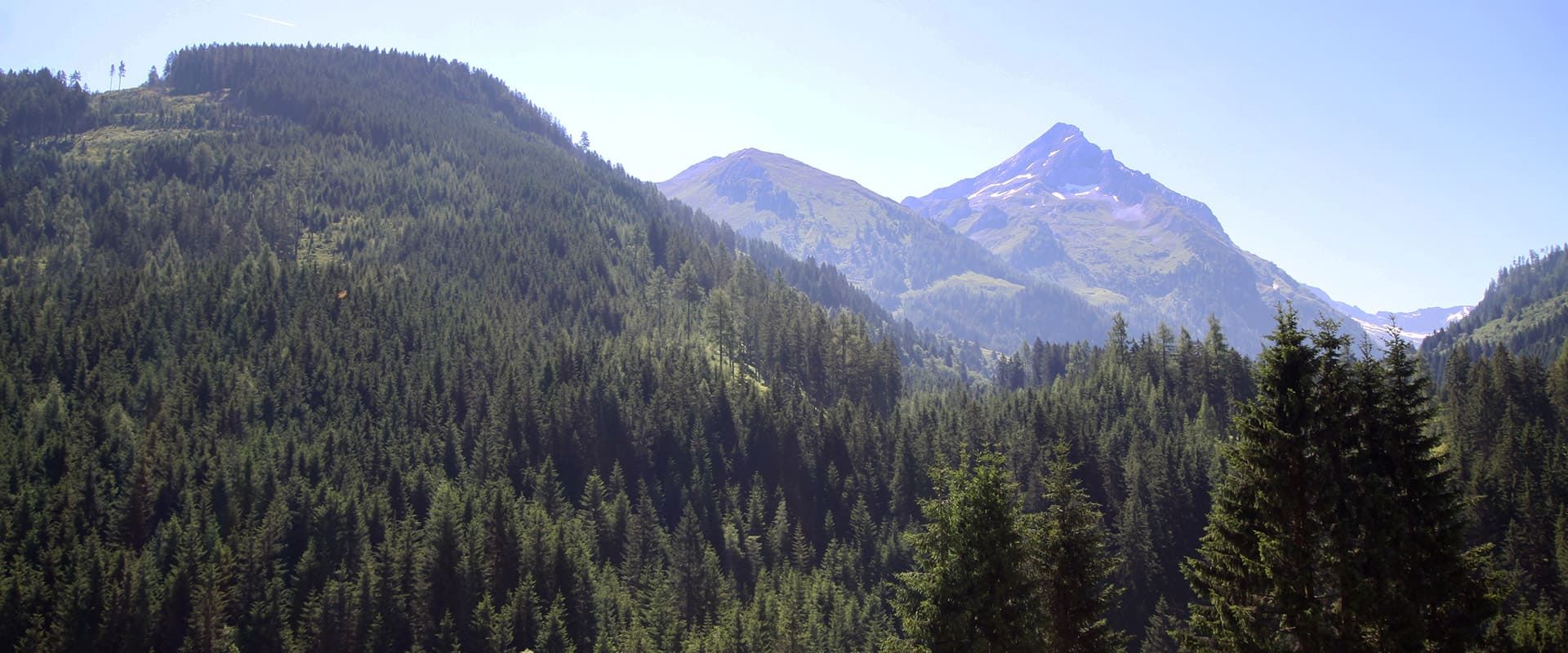 Ausblick Gästehaus Elfriede Gerlos