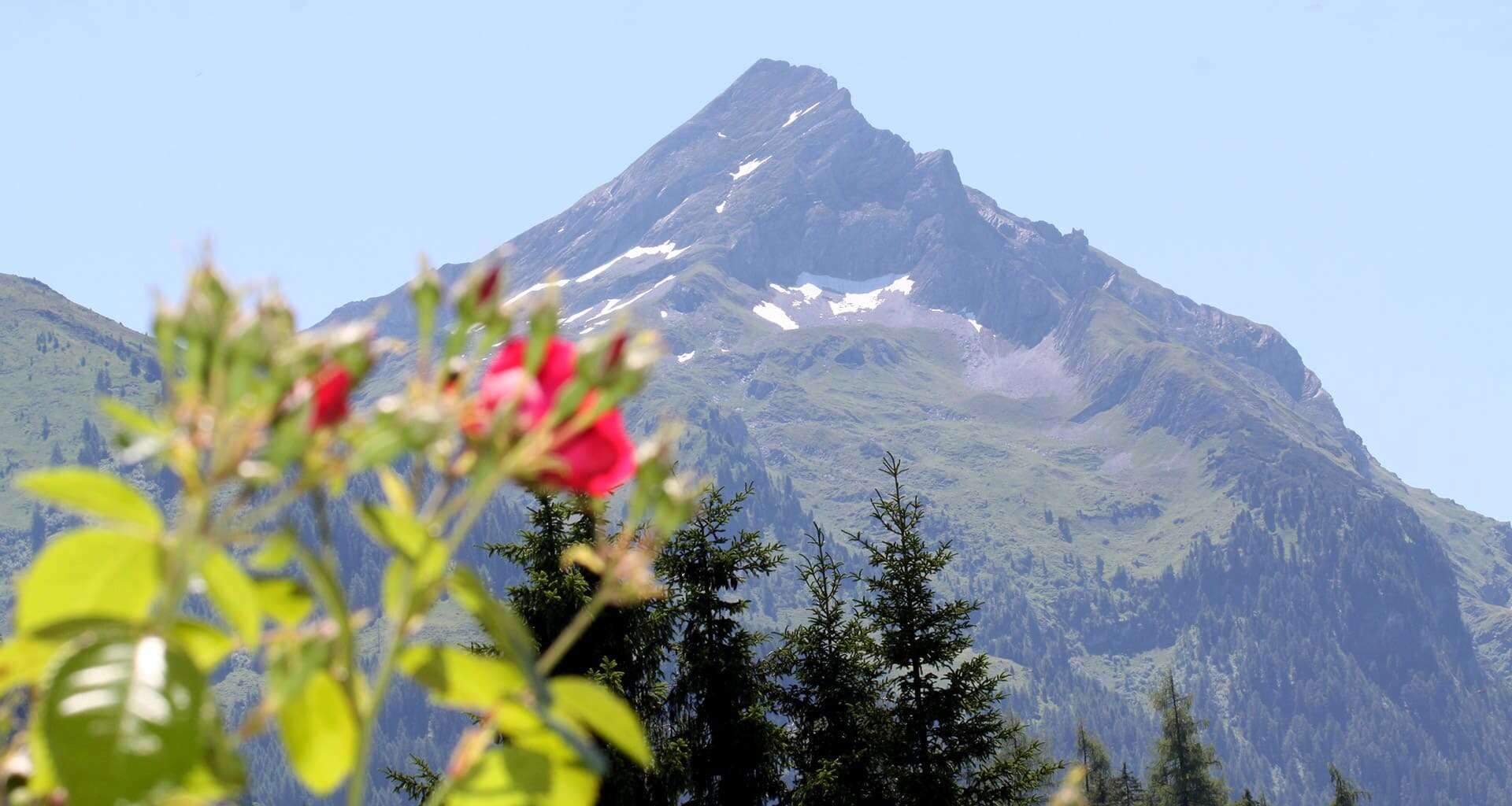 Aussicht Haus Elfriede Zillertal Tirol 